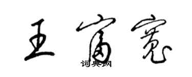 梁锦英王富宽草书个性签名怎么写