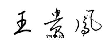 梁锦英王贵凤草书个性签名怎么写