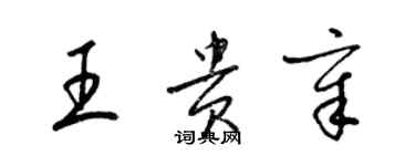 梁锦英王贵章草书个性签名怎么写