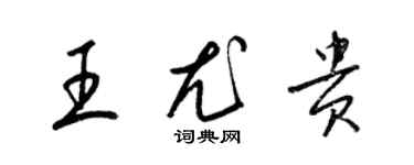 梁锦英王尤贵草书个性签名怎么写