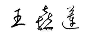 梁锦英王喜莲草书个性签名怎么写
