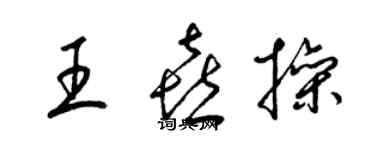 梁锦英王喜操草书个性签名怎么写