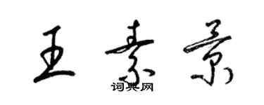 梁锦英王素景草书个性签名怎么写