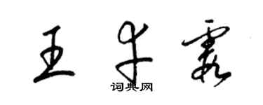 梁锦英王幸霞草书个性签名怎么写