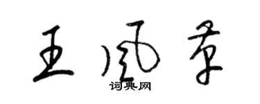 梁锦英王风革草书个性签名怎么写