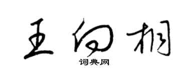 梁锦英王向桐草书个性签名怎么写