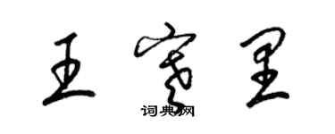 梁锦英王寒里草书个性签名怎么写