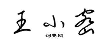 梁锦英王小密草书个性签名怎么写