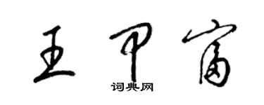 梁锦英王甲富草书个性签名怎么写