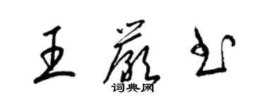 梁锦英王严书草书个性签名怎么写