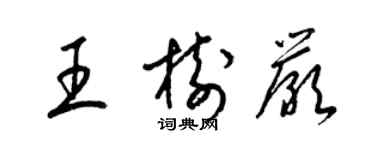 梁锦英王树严草书个性签名怎么写