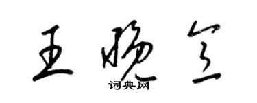 梁锦英王晚意草书个性签名怎么写