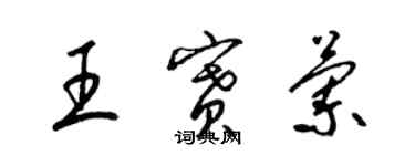 梁锦英王赛兰草书个性签名怎么写