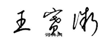 梁锦英王赛微草书个性签名怎么写