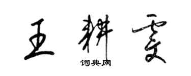 梁锦英王耕雯草书个性签名怎么写