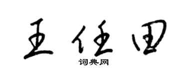梁锦英王任田草书个性签名怎么写