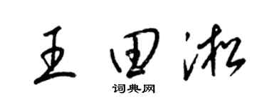 梁锦英王田淞草书个性签名怎么写