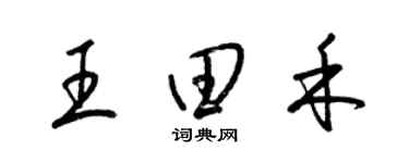 梁锦英王田禾草书个性签名怎么写