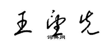 梁锦英王望先草书个性签名怎么写