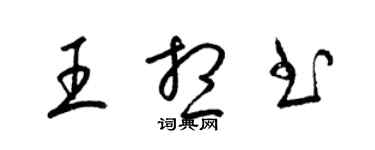 梁锦英王想书草书个性签名怎么写