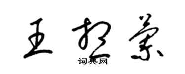 梁锦英王想兰草书个性签名怎么写