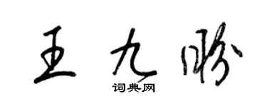 梁锦英王九盼草书个性签名怎么写