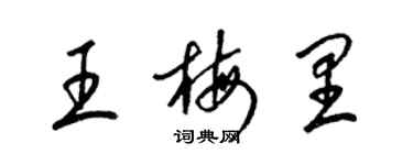 梁锦英王梅里草书个性签名怎么写