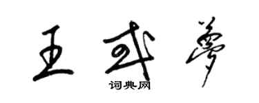 梁锦英王或梦草书个性签名怎么写