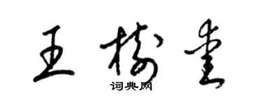 梁锦英王树爱草书个性签名怎么写