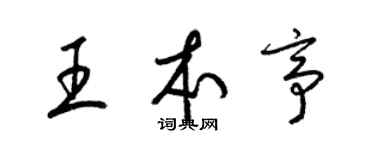 梁锦英王本亭草书个性签名怎么写