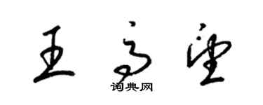 梁锦英王高望草书个性签名怎么写
