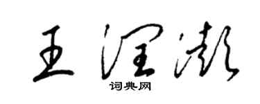 梁锦英王润澎草书个性签名怎么写