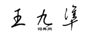 梁锦英王九准草书个性签名怎么写