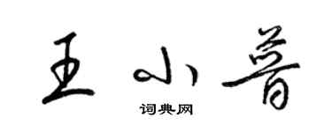 梁锦英王小普草书个性签名怎么写