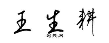 梁锦英王生耕草书个性签名怎么写