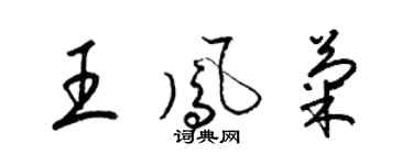 梁锦英王凤菊草书个性签名怎么写