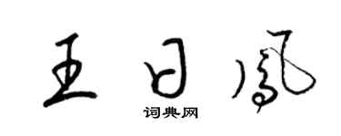 梁锦英王日凤草书个性签名怎么写