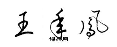 梁锦英王年凤草书个性签名怎么写