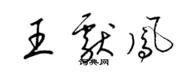 梁锦英王献凤草书个性签名怎么写