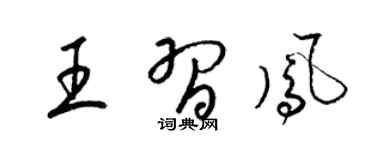 梁锦英王习凤草书个性签名怎么写