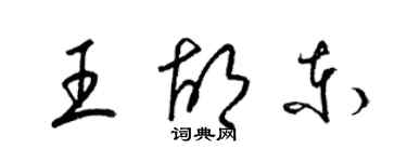 梁锦英王胡东草书个性签名怎么写