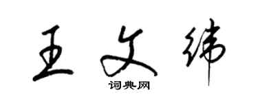 梁锦英王文纬草书个性签名怎么写