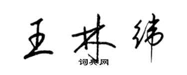 梁锦英王林纬草书个性签名怎么写