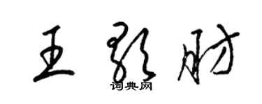 梁锦英王歌肪草书个性签名怎么写