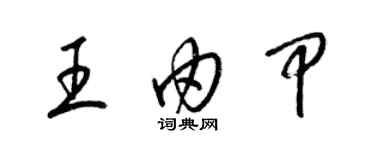 梁锦英王由甲草书个性签名怎么写