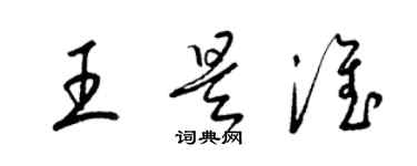 梁锦英王是淮草书个性签名怎么写