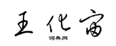 梁锦英王化宙草书个性签名怎么写