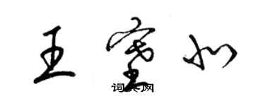 梁锦英王塞北草书个性签名怎么写