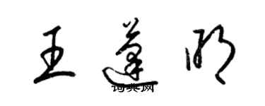 梁锦英王蓬明草书个性签名怎么写