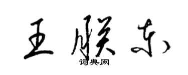 梁锦英王朕东草书个性签名怎么写